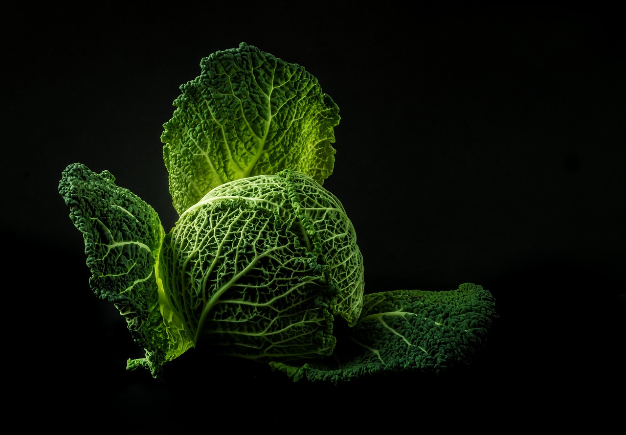 大地宅配の有機野菜セットはどんなメリットがあるの？