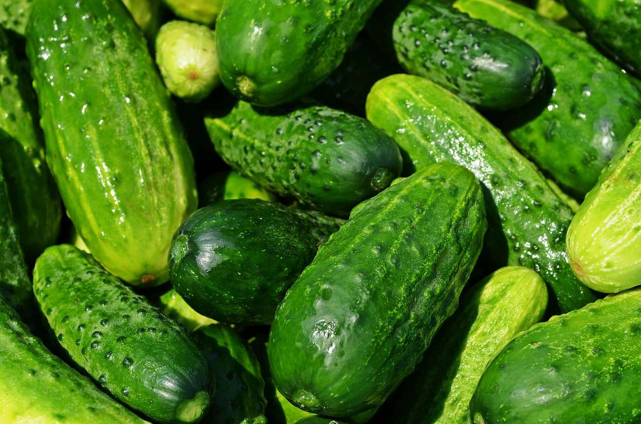 有機野菜のセットを定期便でお得に楽しむ方法は？