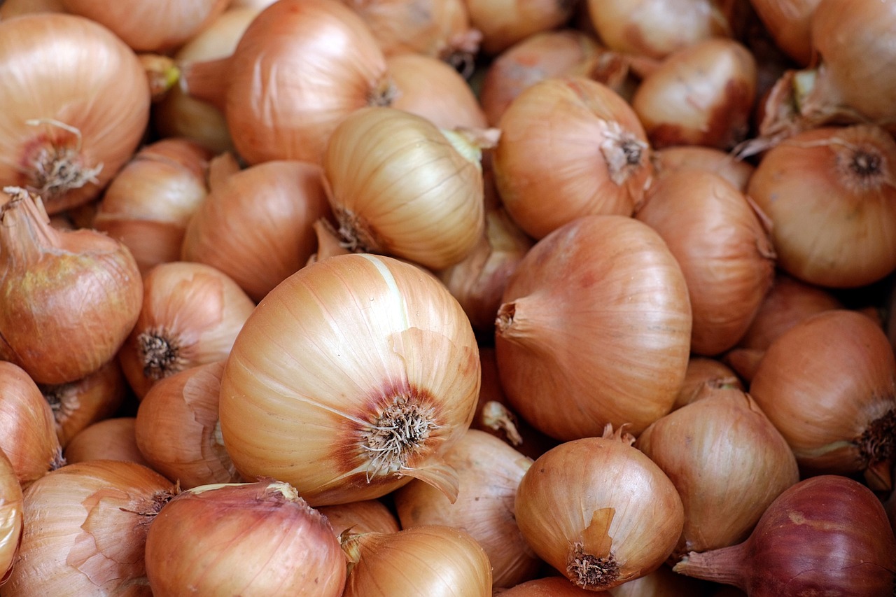 有機野菜の宅配サービスは東京でどこが人気ですか？