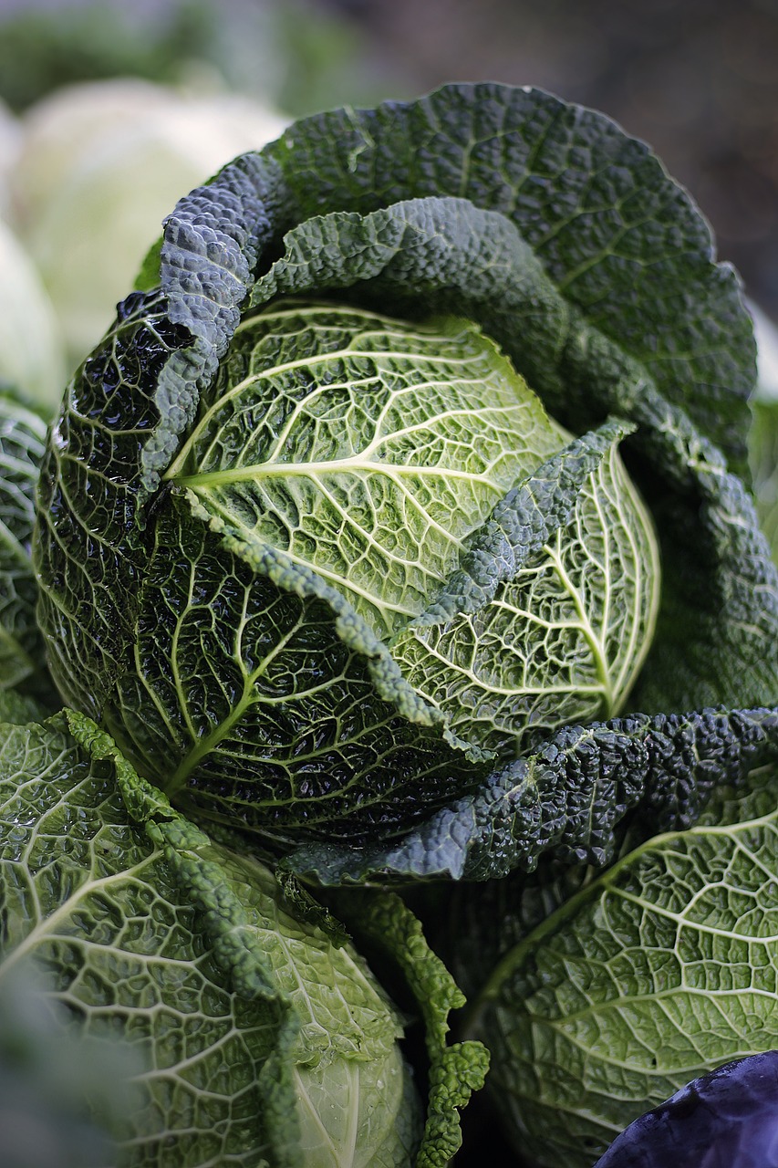 無農薬野菜の定期便はどのように利用すれば良いの？