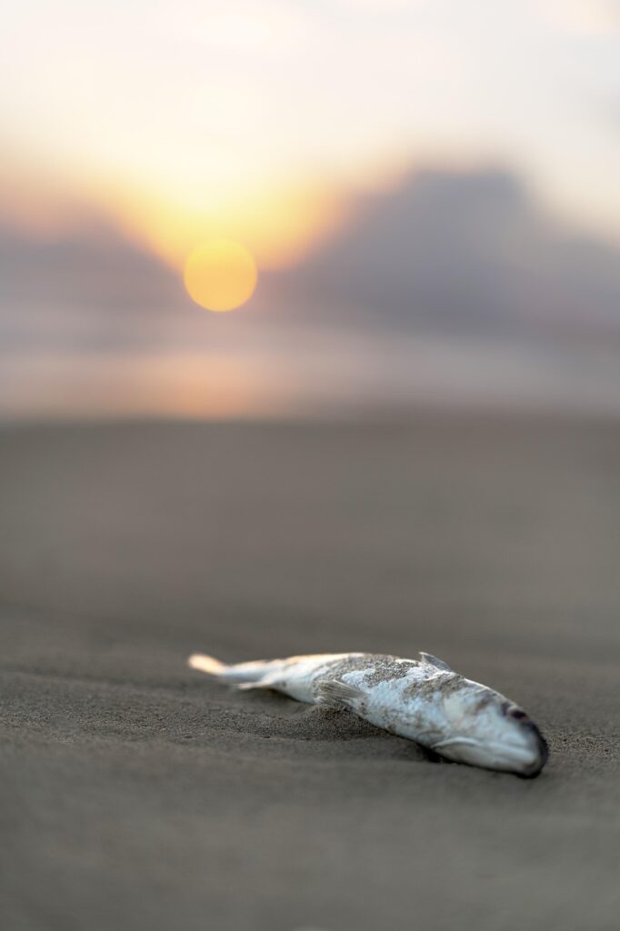 大地を守る会のお試しセットにはどんな商品が含まれているの？