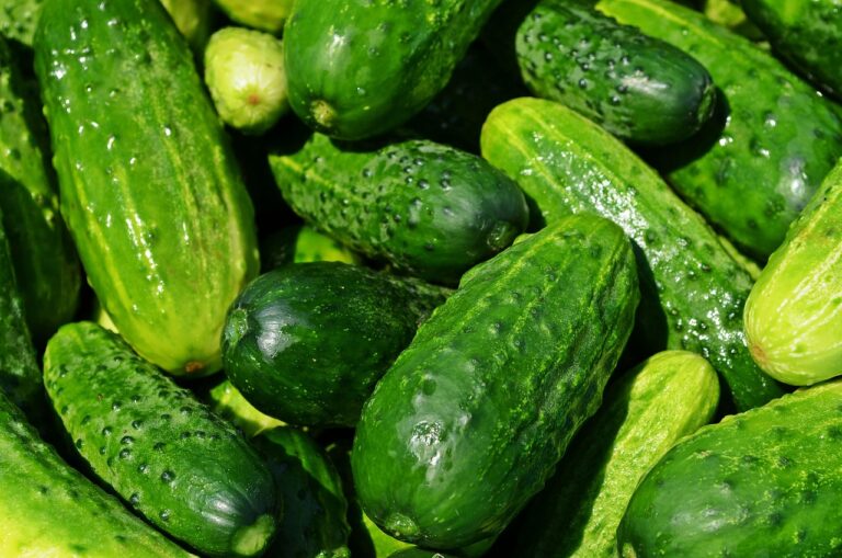 無農薬野菜の宅配サービスで本当に安いものはどれ？