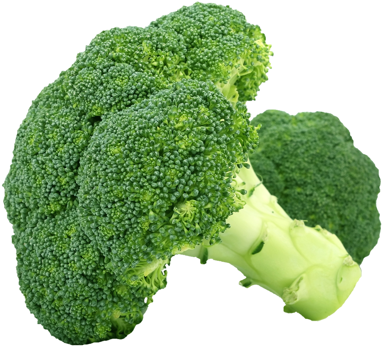 野菜の定期便を利用する際に知っておきたい安い選び方は？
