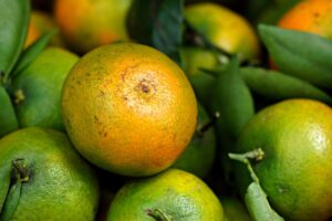 オーガニック宅配のキャンペーンはどこで見つけられる？