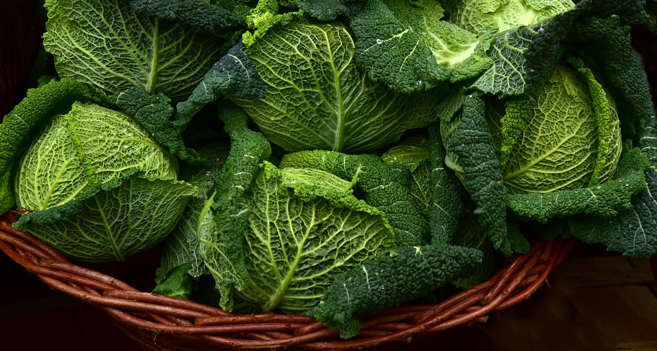 宅配野菜の比較でおすすめのサービスは？