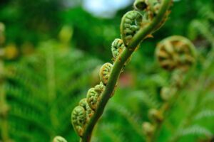 無添加ベビーフードの宅配サービスはどこが人気ですか？