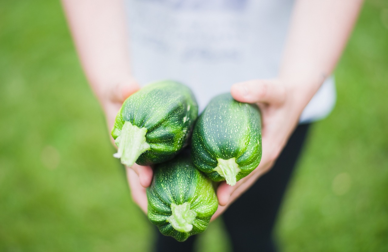 野菜定期便の利用でおすすめの選び方は？