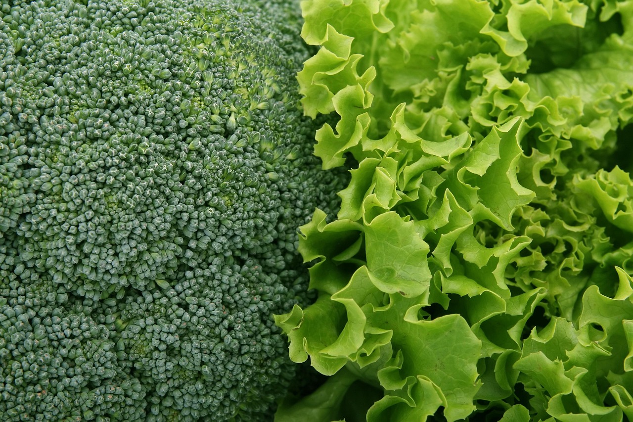 野菜配達のオイシックスで人気の新鮮食材は？