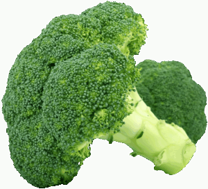 オーガニック野菜の宅配サービスでおすすめのランキングは？