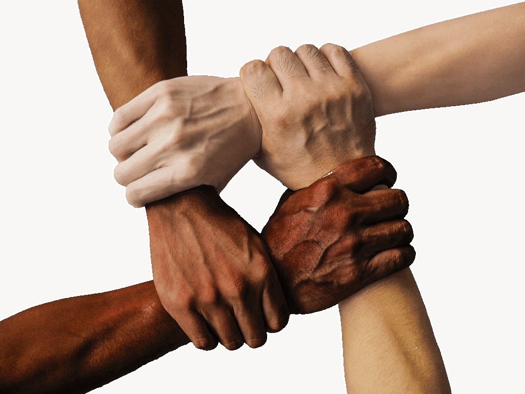 一人暮らしに最適な有機宅配サービスは？