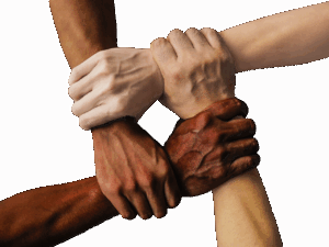 一人暮らしに最適な有機宅配サービスは？