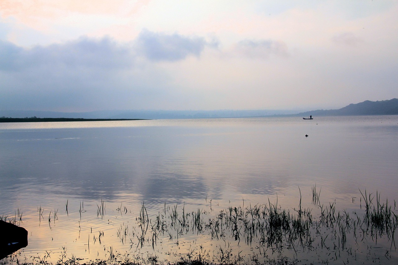 有機宅配の値段が高い理由とは？