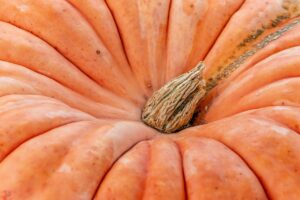 有機宅配のトレーサビリティを確保するためのポイントは？