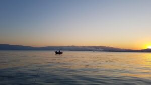 有機宅配を利用した食費の見直し方法は？