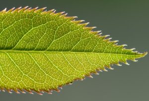 有機宅配を選ぶ際の完全ガイドとは何か？