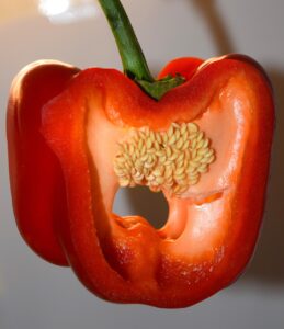 定期便の仕組みはどのように機能しているのか？