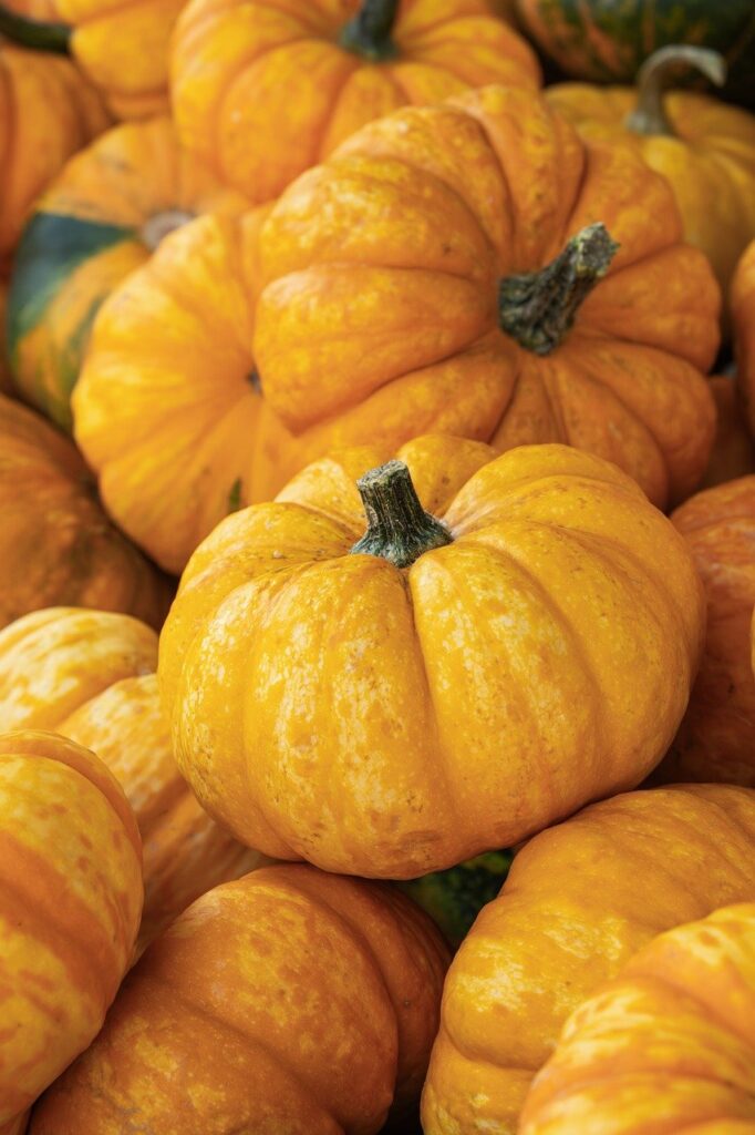 有機野菜の宅配サービスにおける満足度を高めるポイントは？