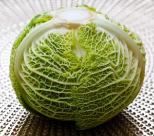 有機野菜宅配の利用者が語るリアルな感想とは？