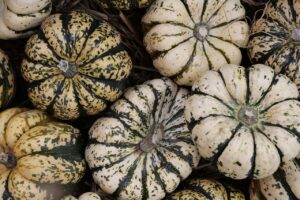 オーガニック野菜のお試しセットはどこで購入できる？
