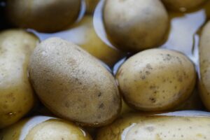 オーガニック野菜の宅配で人気のサービスは？