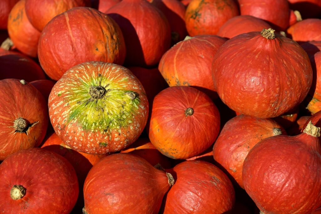 有機野菜の宅配でスキップ可能なサービスはどれ？
