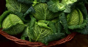 有機野菜宅配の退会方法について知りたいことは？