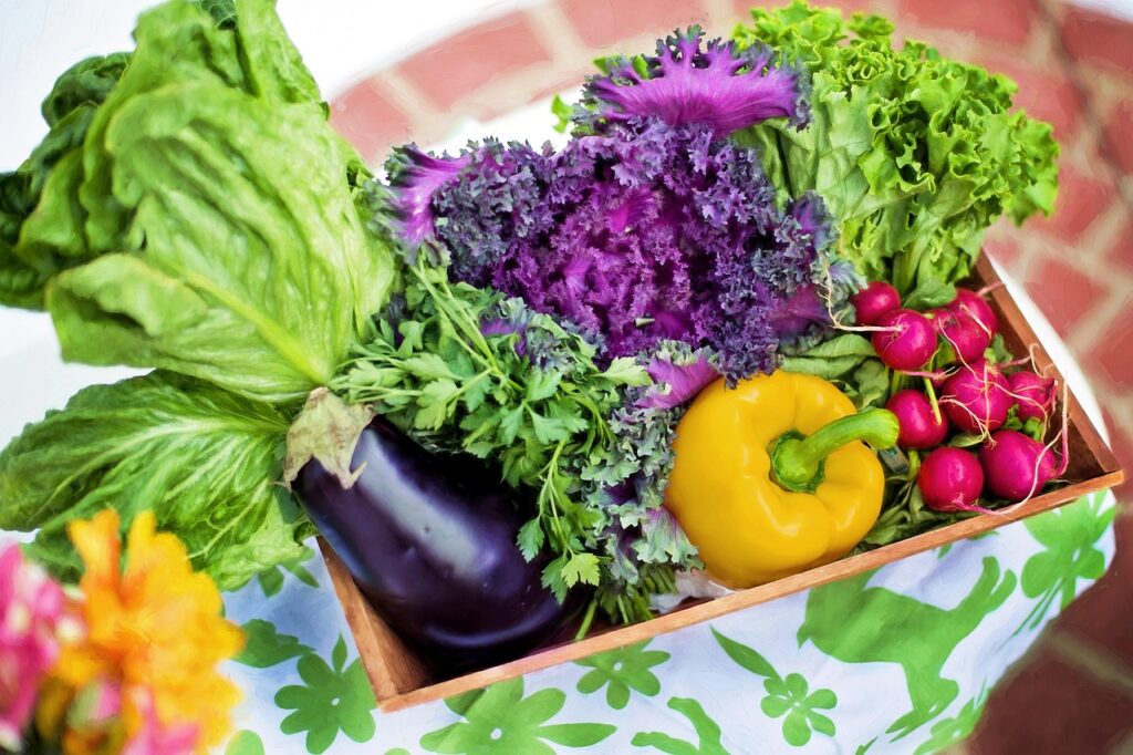 有機宅配の厳選野菜は本当にお得？選び方とメリットを徹底解説！