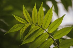 有機宅配の品質保証は本当に信頼できる？