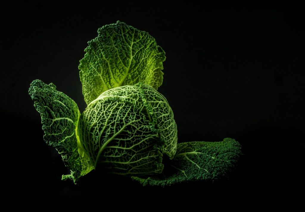 無農薬野菜の宅配は本当に人気？選ぶ際のポイントとおすすめを解説！